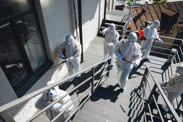 Iron River, MI Mold Removal Company