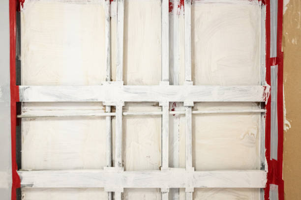 Best Basement Mold Removal  in Iron River, MI