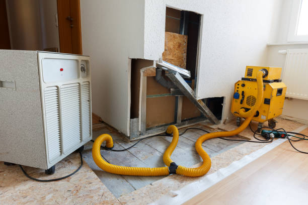 Best Mold Removal for HVAC Installations  in Iron River, MI